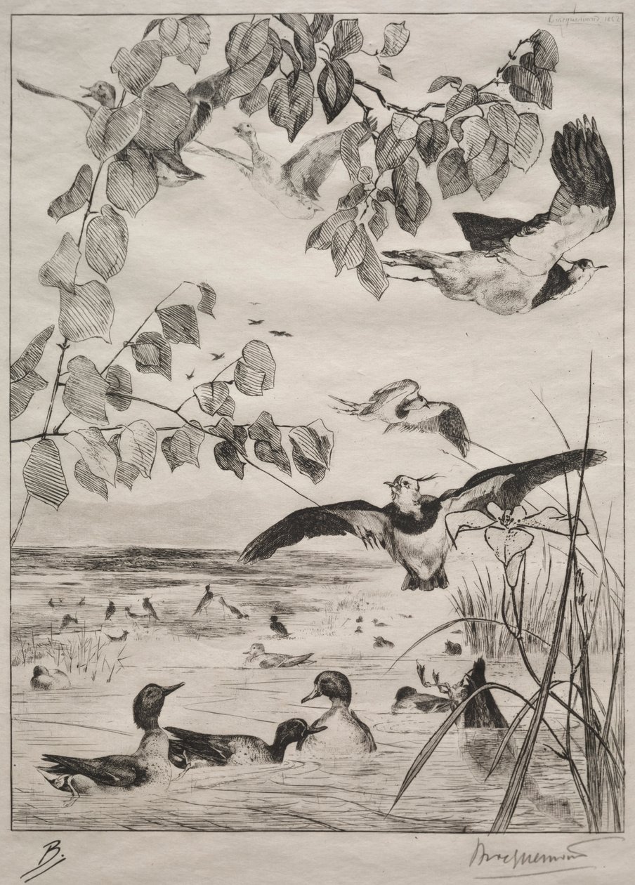 Vipor och krickor, 1862. av Felix Bracquemond