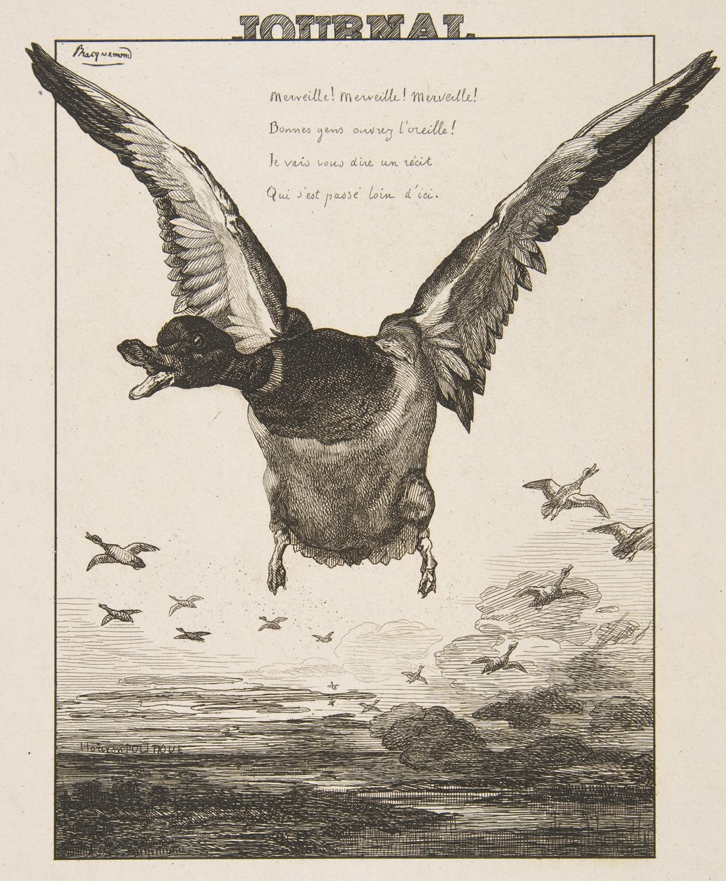 Ankan, 1856. av Felix Bracquemond