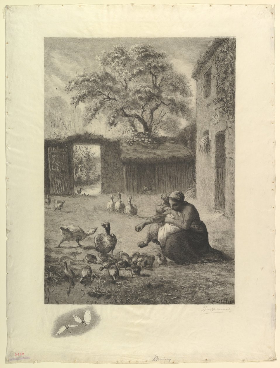 Vår, efter en pastell av Millet, 1888. av Felix Bracquemond