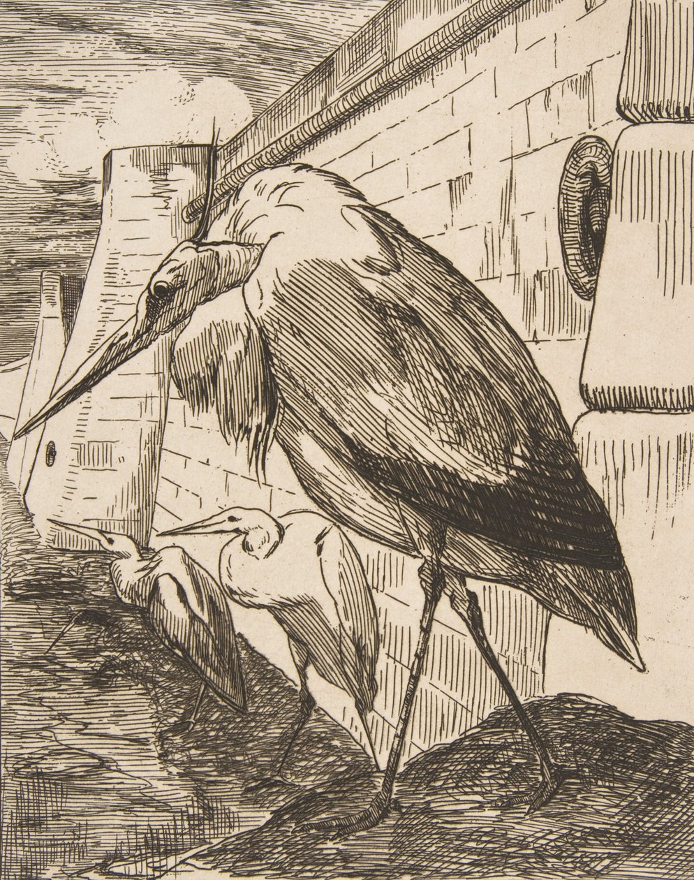 Storkarna, 1870-talet, 1870-talet. av Felix Bracquemond
