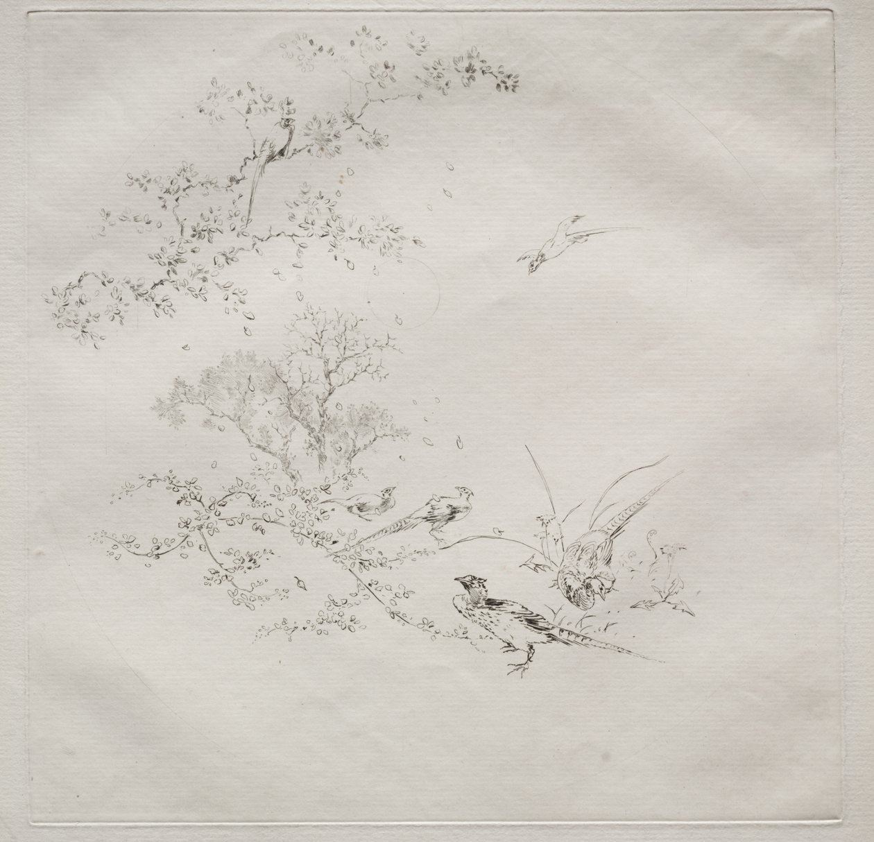 Parisian Service (Haviland-tjänst) av Felix Bracquemond