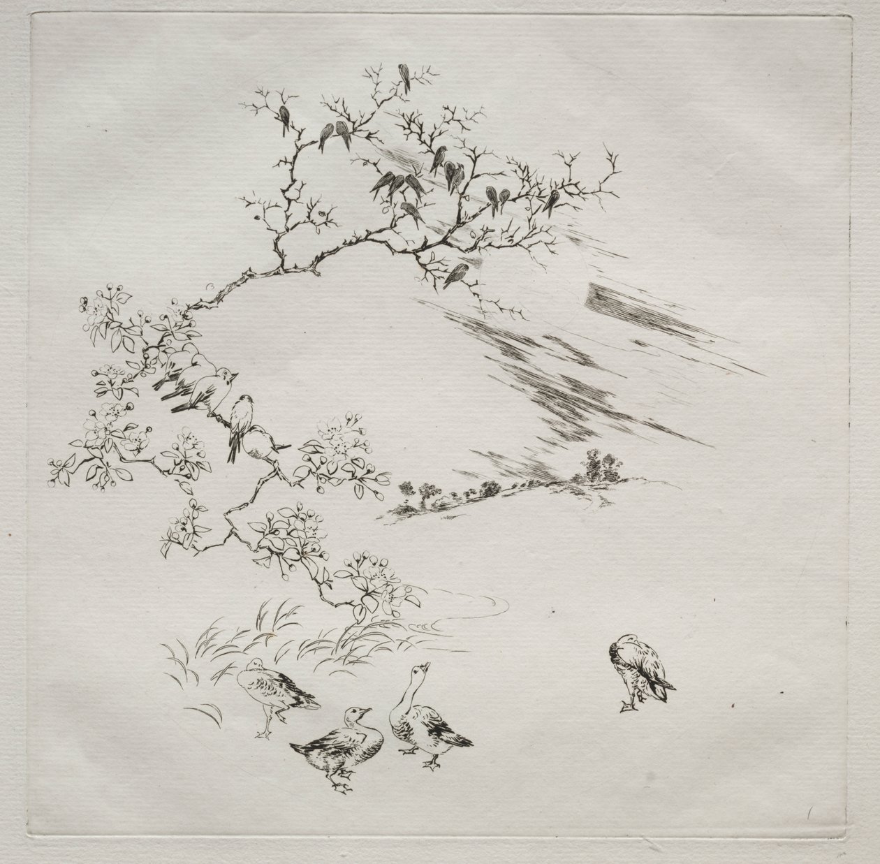 Parisian Service (Haviland service): Natt (nr 7) av Felix Bracquemond