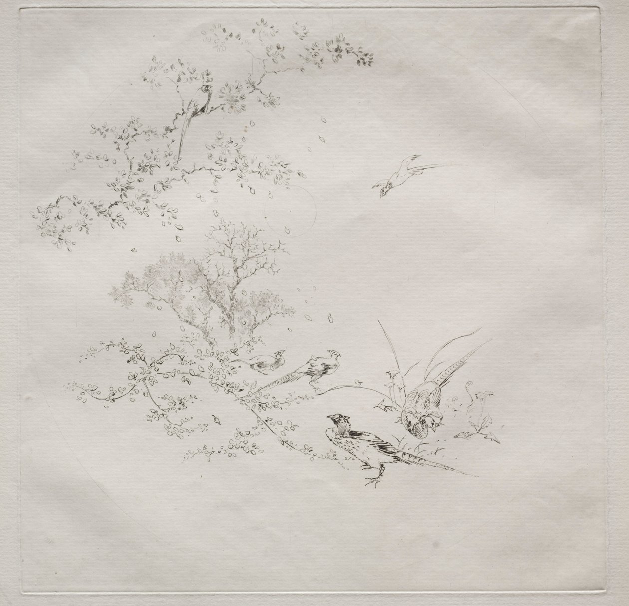 Parisian Service Haviland service: Dim nr. 1, 1875. av Felix Bracquemond