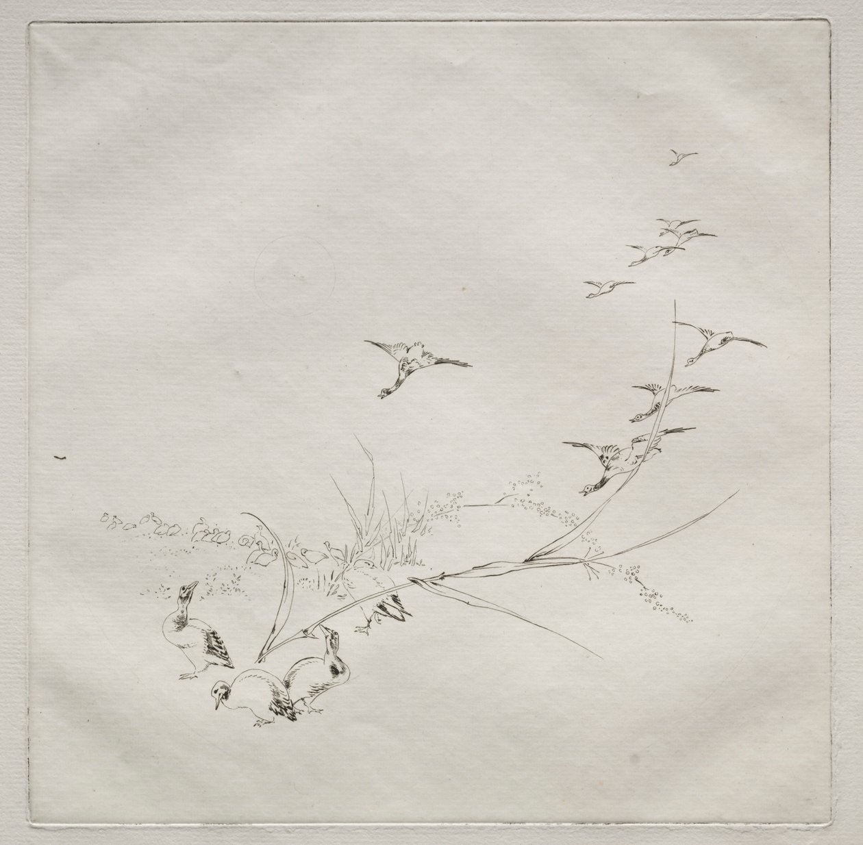 Parisian Service Haviland service: Mitt i solen nr. 9, 1875. av Felix Bracquemond
