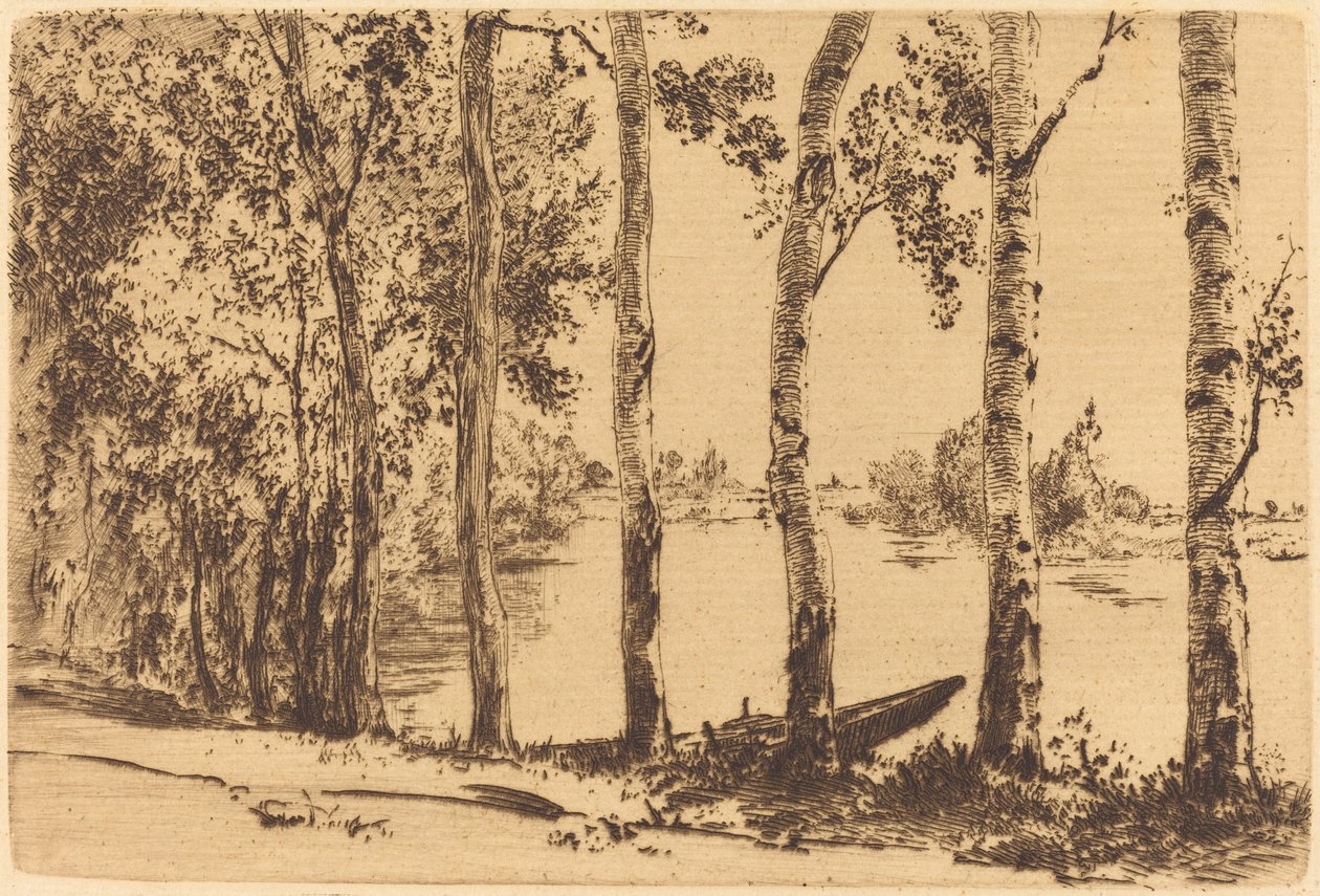 Poplar längs Seine av Felix Bracquemond