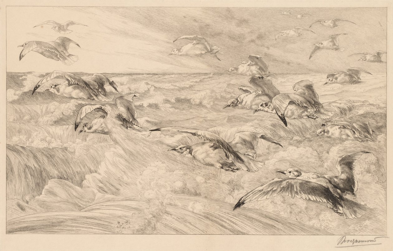 Fiskmåsar av Felix Bracquemond