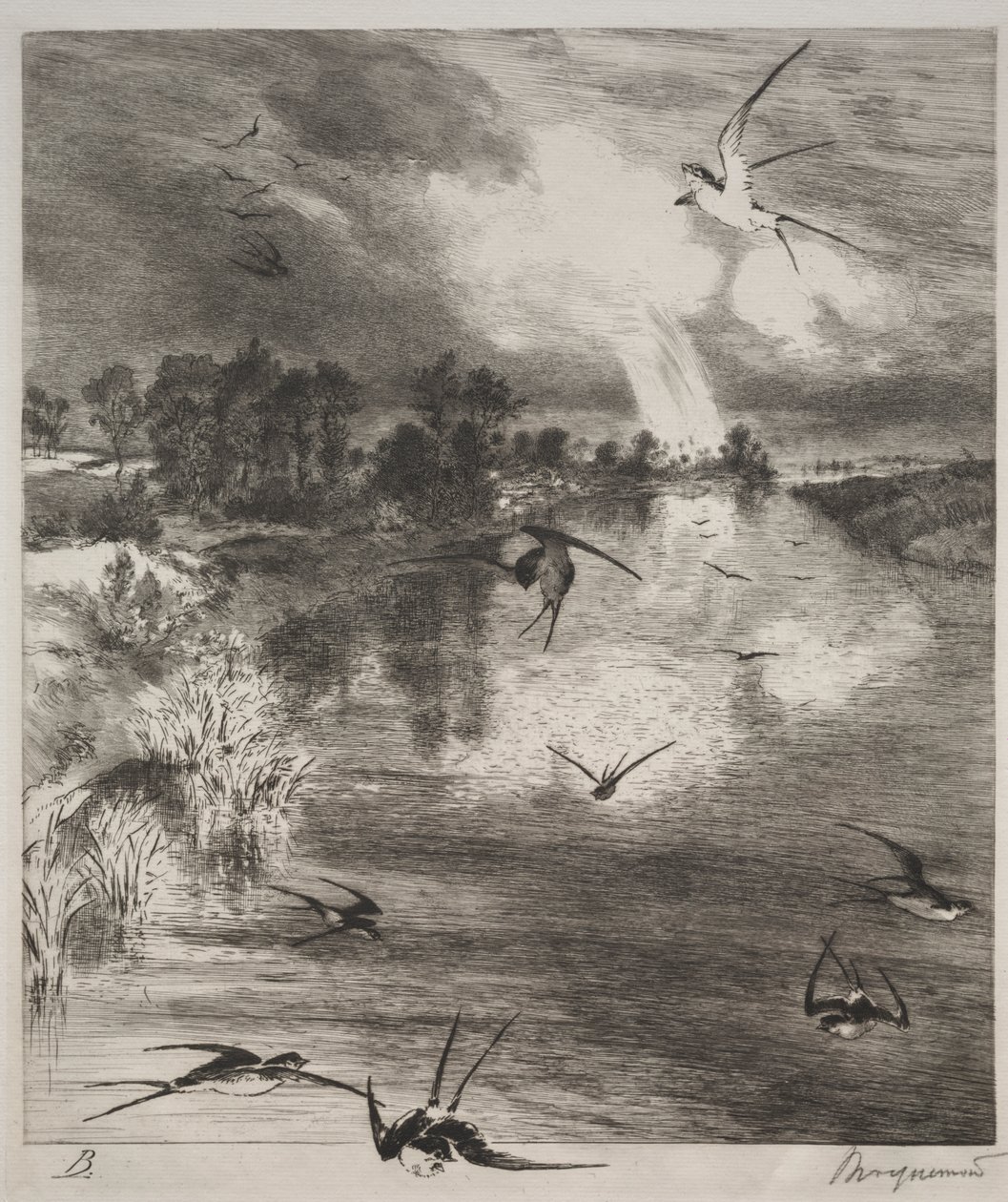 Svalor av Felix Bracquemond