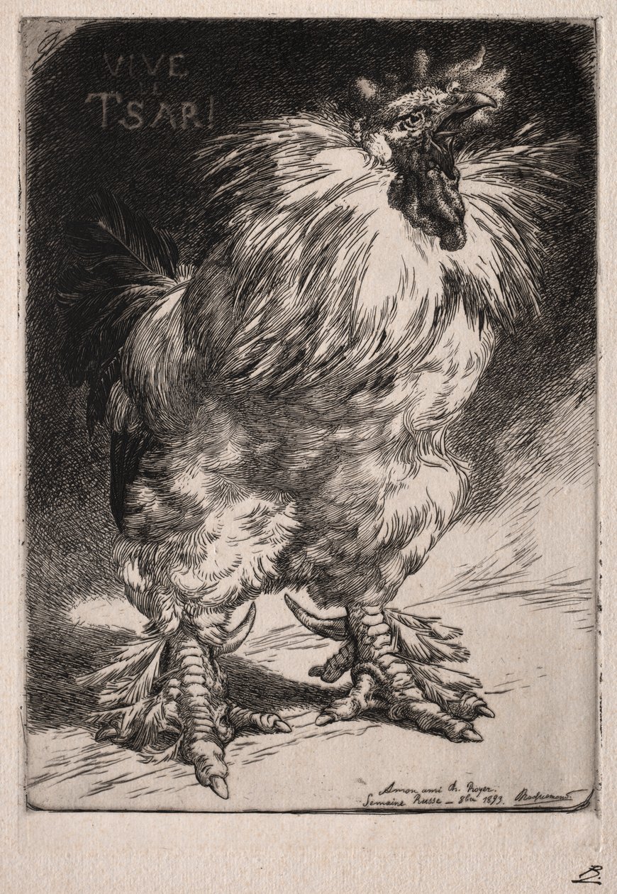 Den franska hanen av Felix Bracquemond