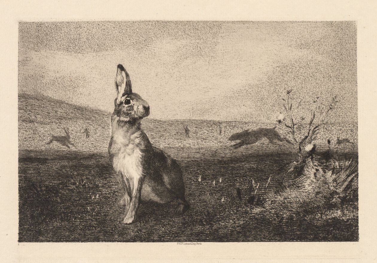 Haren av Felix Bracquemond