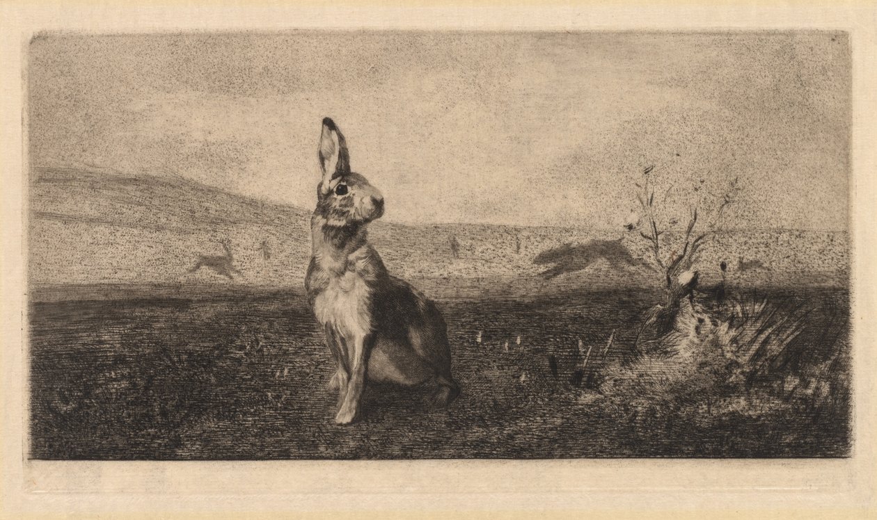 Haren Le Hare, 1865. av Felix Bracquemond