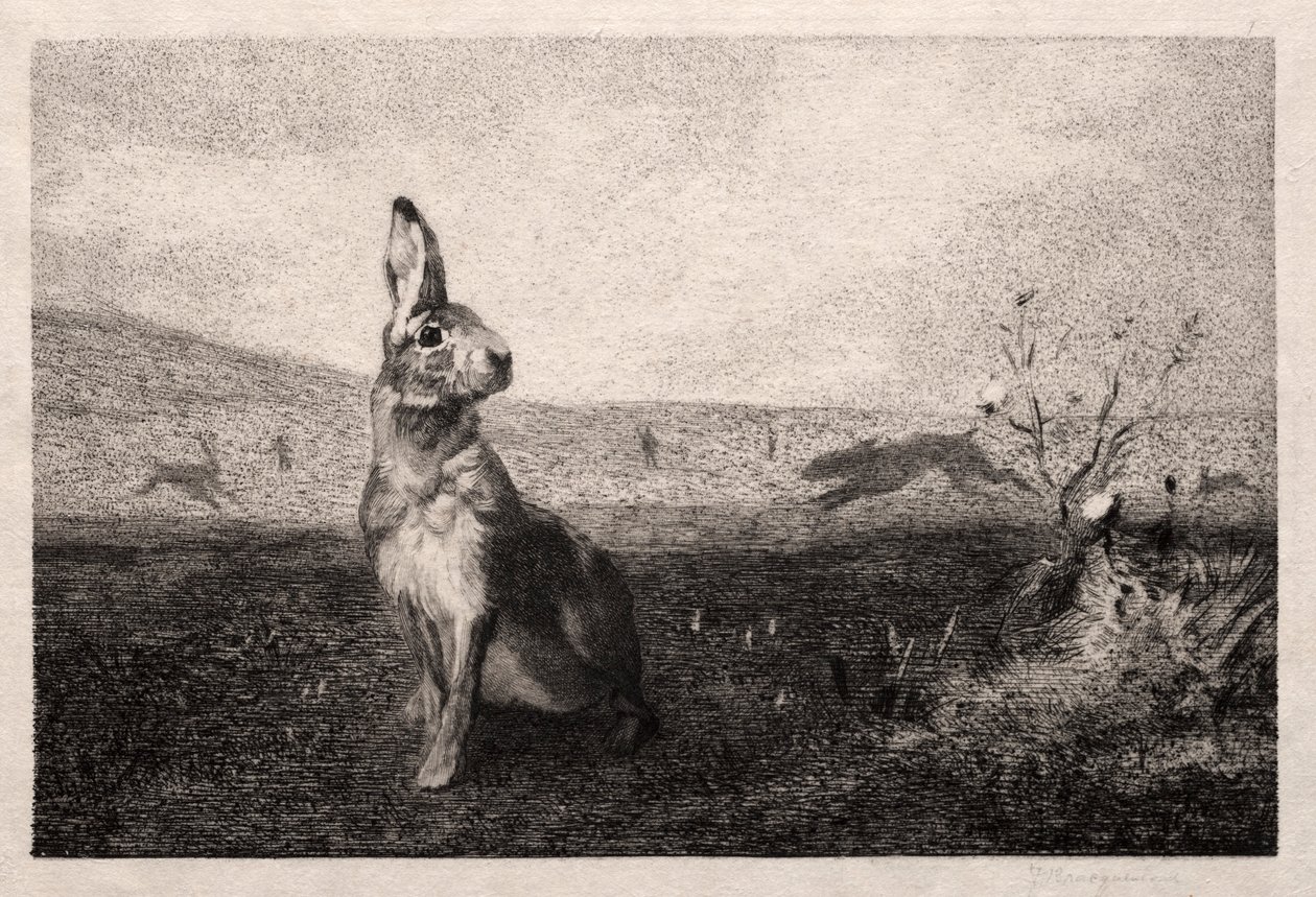 Haren efter A. de Balleroy, 1865. av Felix Bracquemond