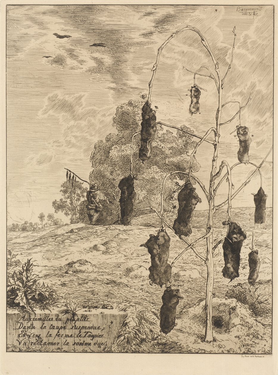Mullvadarna av Felix Bracquemond