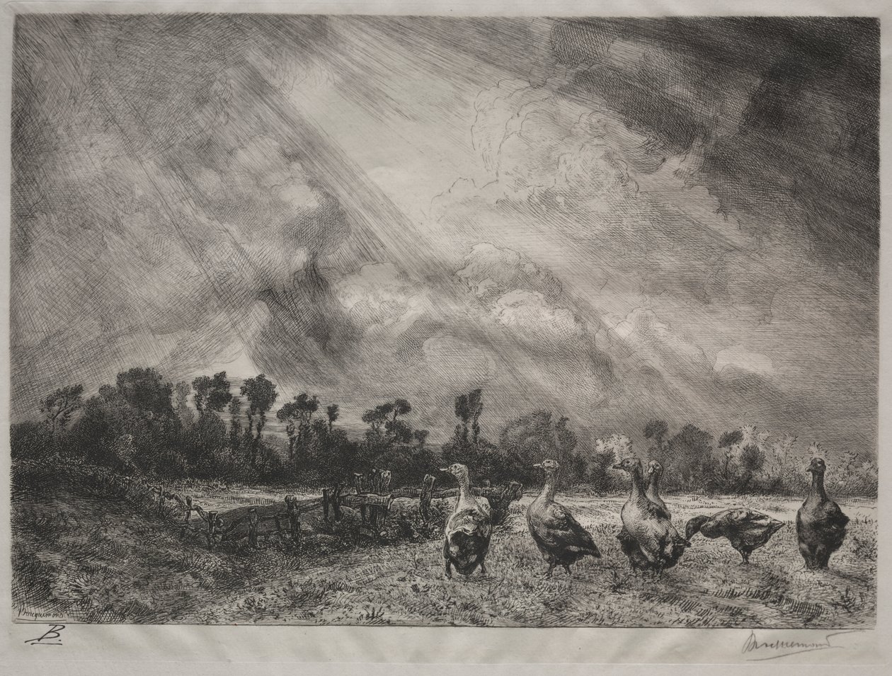Stormmolnet av Felix Bracquemond