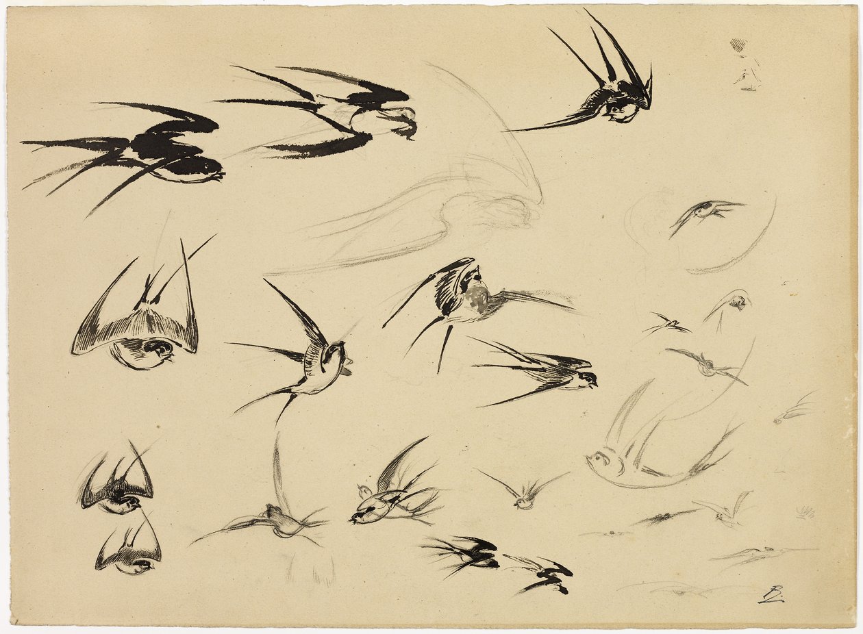 The Swallows, ca 1881 (penna, pensel, bläck, krita, kritor och grafit på papper) av Felix Bracquemond