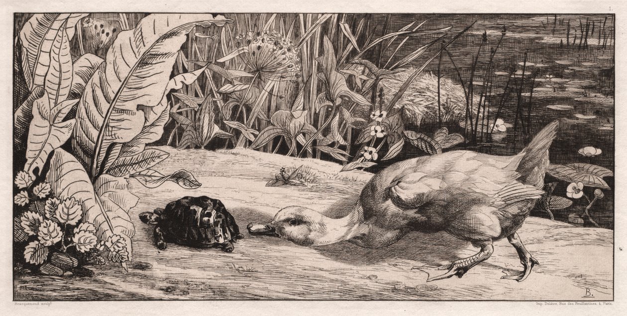 Det okända av Felix Bracquemond