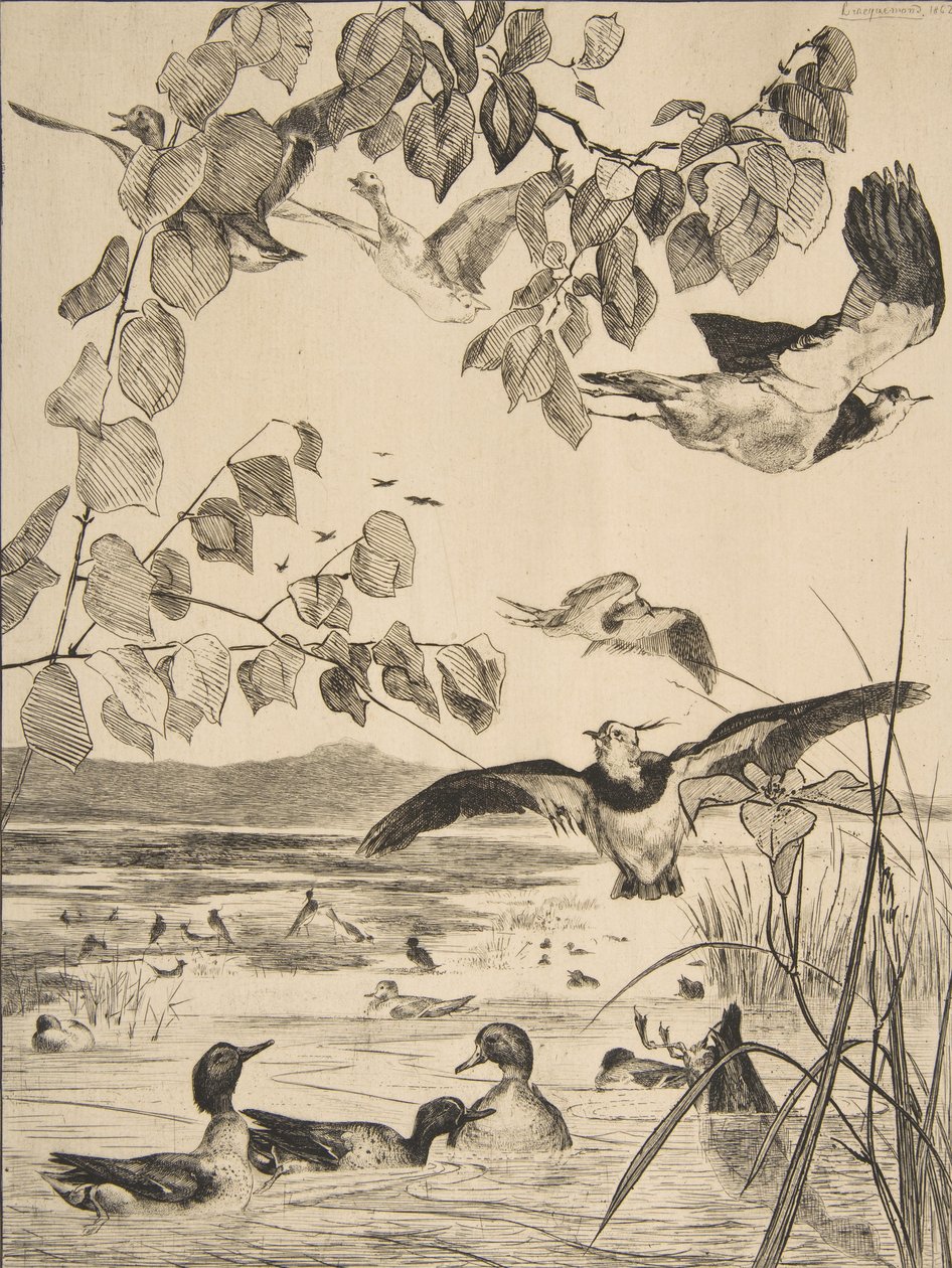 Vipor och Sarcelles, 1862. av Felix Bracquemond
