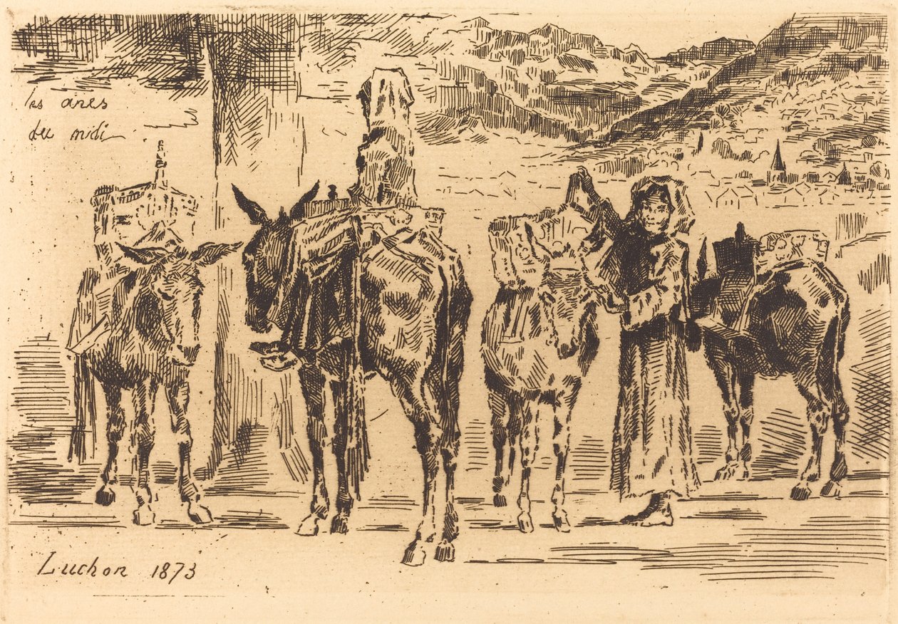 Ark med åsnor från söder, 1873. av Felix Hilaire Buhot