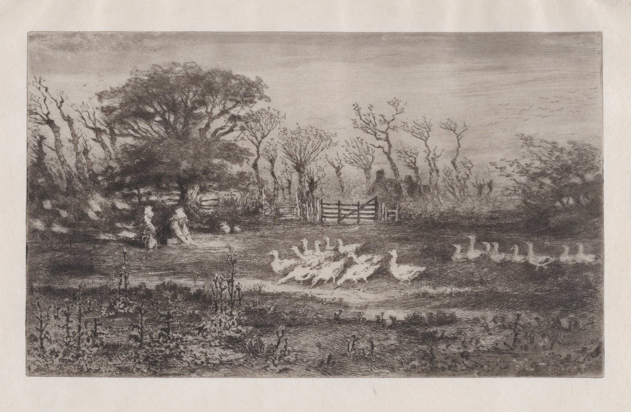 Gäss, 1860-98. av Felix Hilaire Buhot