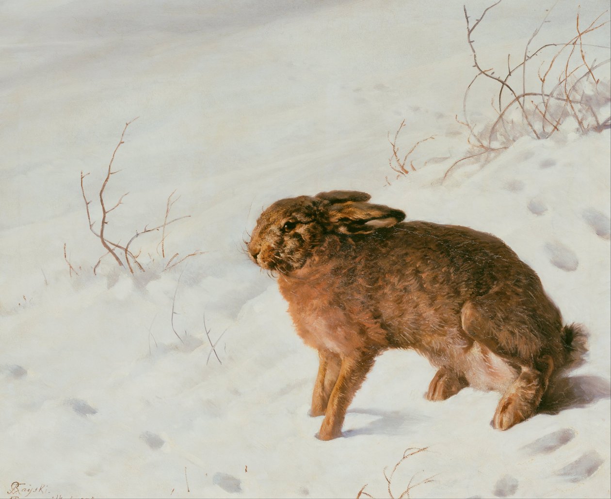 Hare i snön av Louis Ferdinand von Rayski