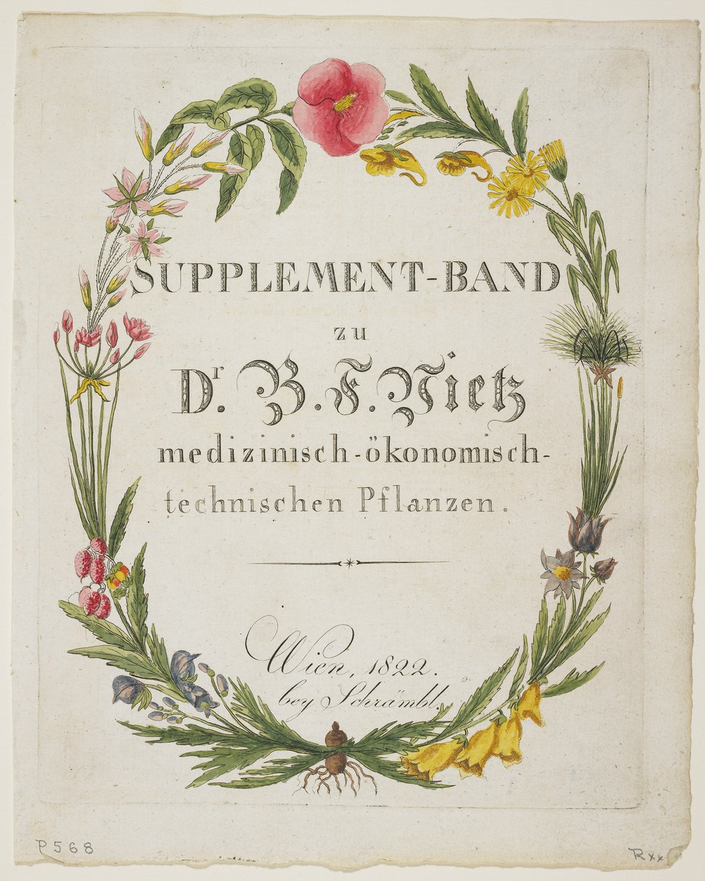 Frontispice och titelsida till Supplement-Band zu Dr. B. F. Vietz medizinisch-okonomisch-technischen Pflanzen av Ferdinand Bernhard Vietz