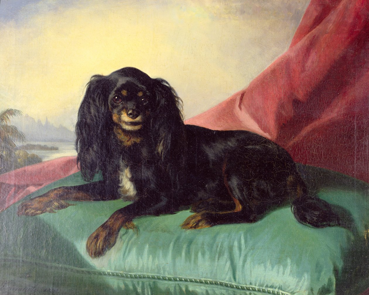 En King Charles Spaniel på en grön kudde av Ferdinand Krumholz