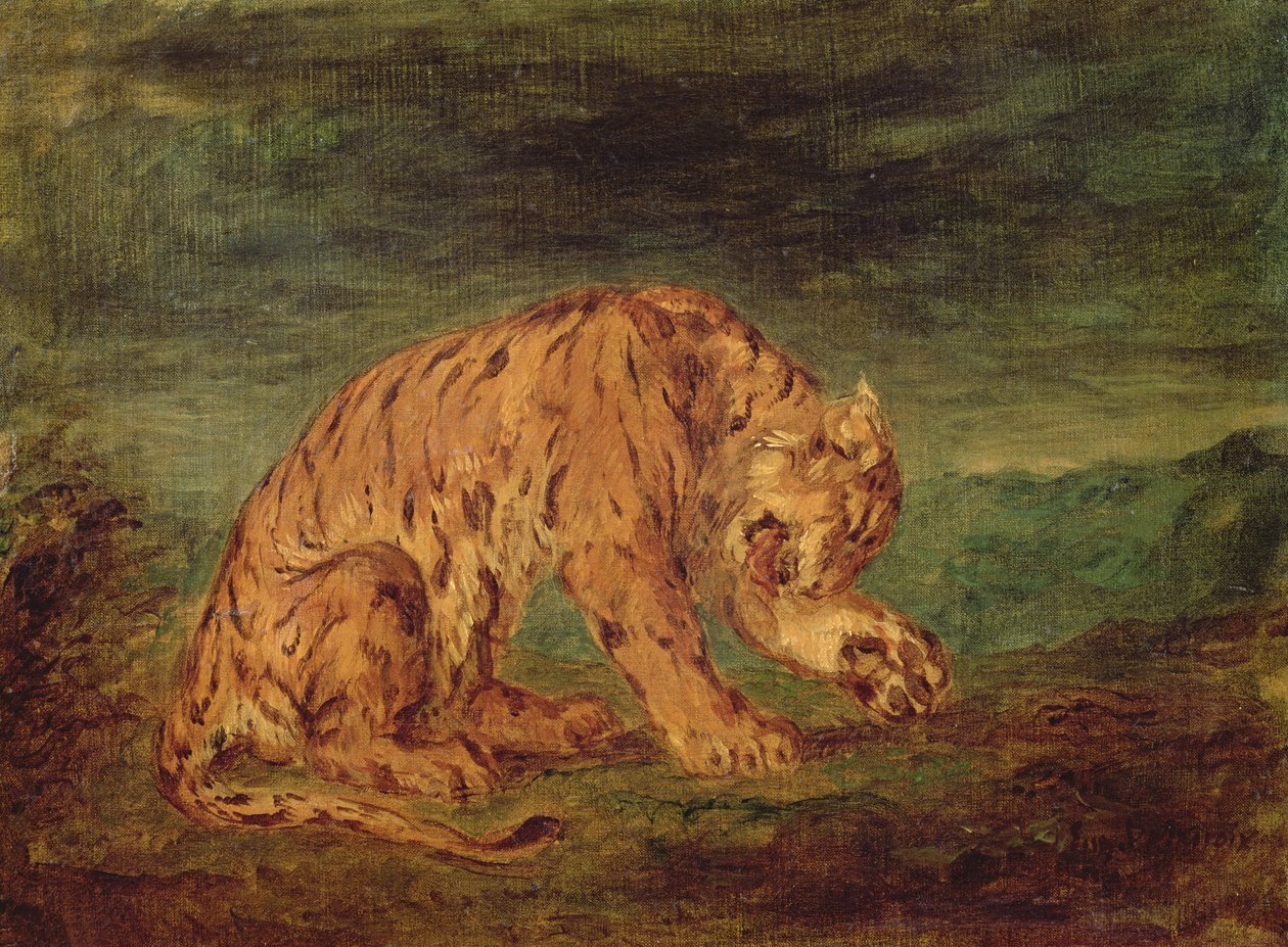 Tiger som slickar en tass av Ferdinand Victor Eugene Delacroix