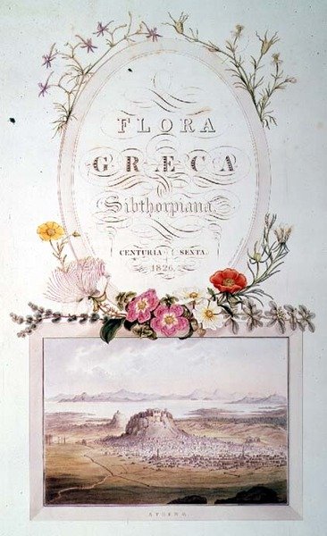 Titelsida till volym 6 av "Flora Graeca Sibthorpiana" av Ferdinand Bauer