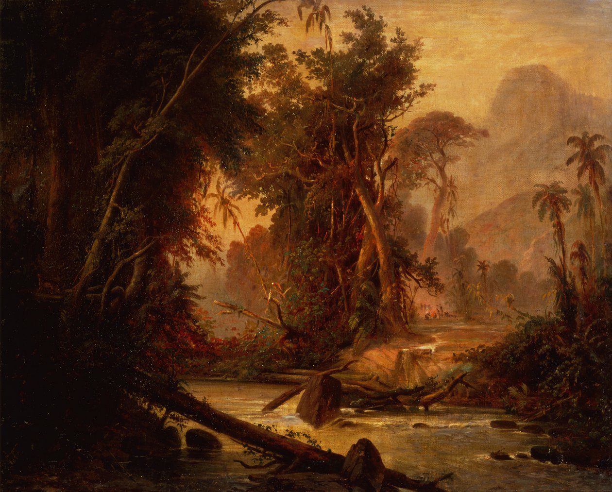 En tropisk skog i Venezuela (olja på duk) av Ferdinand Bellermann