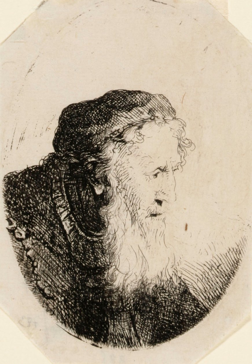 Gammal man med böljande skägg av Ferdinand Bol
