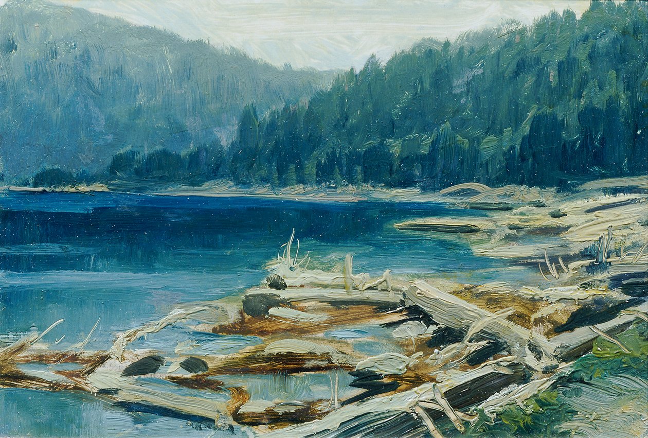 Šumava (från portföljen "16 vyer av tjeckiska landskap 