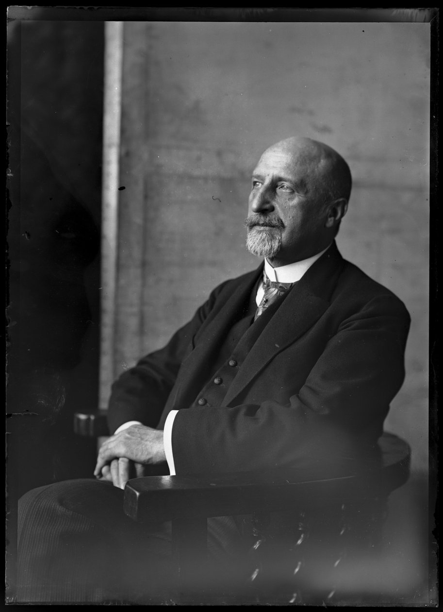 Bild av Karl Seitz (1869-1950) av Ferdinand Schmutzer
