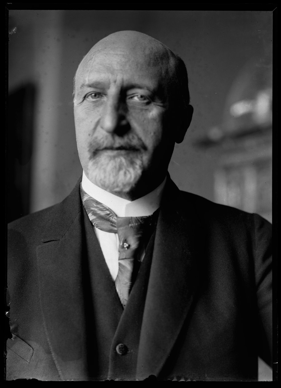 Bild av Karl Seitz (1869-1950) av Ferdinand Schmutzer
