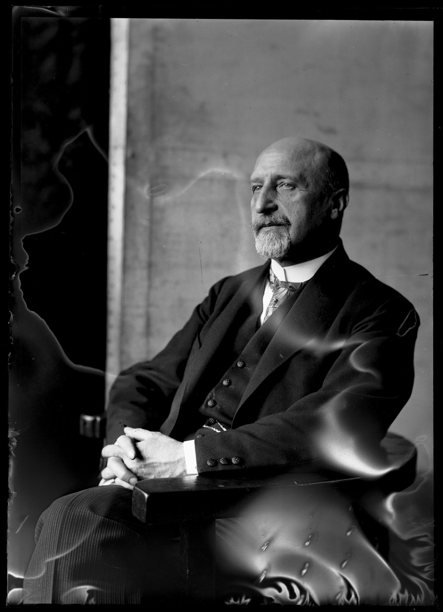 Bild av Karl Seitz (1869-1950) av Ferdinand Schmutzer