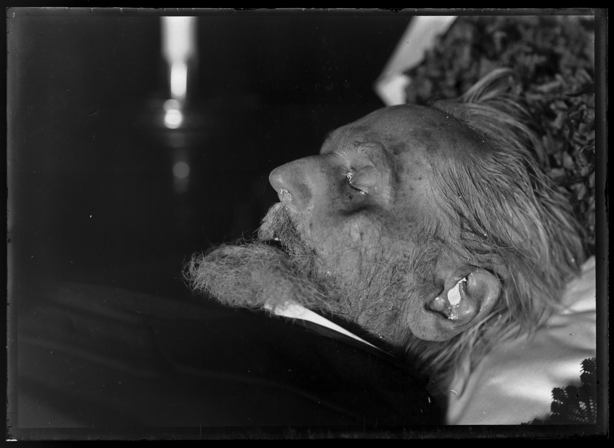 Antikvarien Rudolf (1812-1905) på dödsbädden av Ferdinand Schmutzer