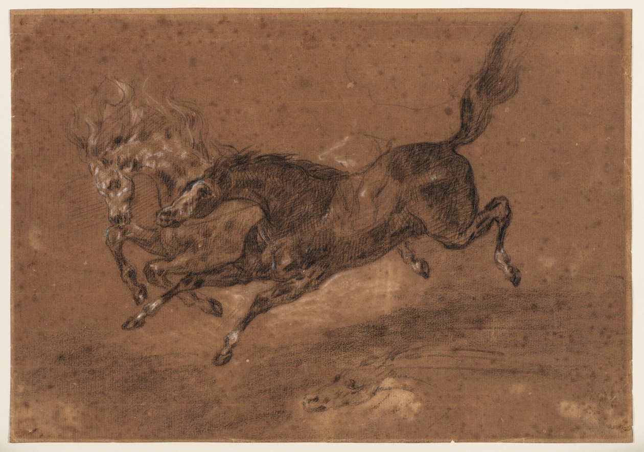 Hästar som springer (recto); naken skäggig man, sittande (verso), ca 1800-1899 (svart och vit krita (recto), svart och vit krita och brun tvätt (verso), på brunt förbehandlat lagt papper) av Ferdinand Victor Eugene (follower of) Delacroix