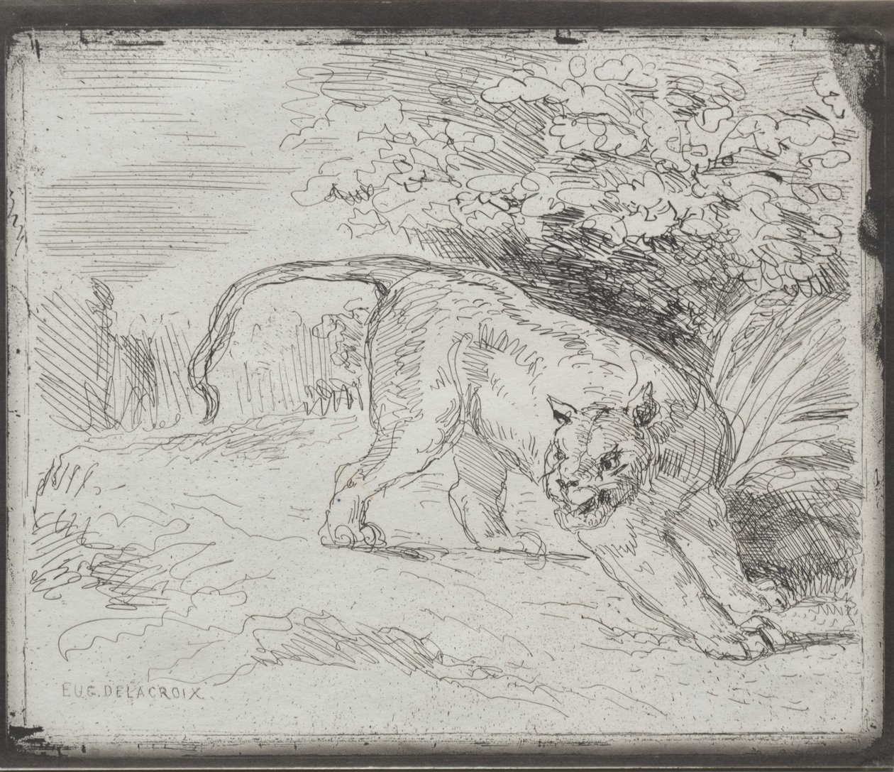 En instängd tiger, 1854. av Ferdinand Victor Eugene Delacroix