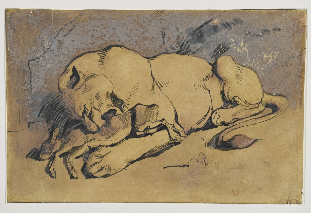 Lejoninna som slukar en kanin (penna och bläck med rödaktig tvätt på brunt papper) av Ferdinand Victor Eugene Delacroix