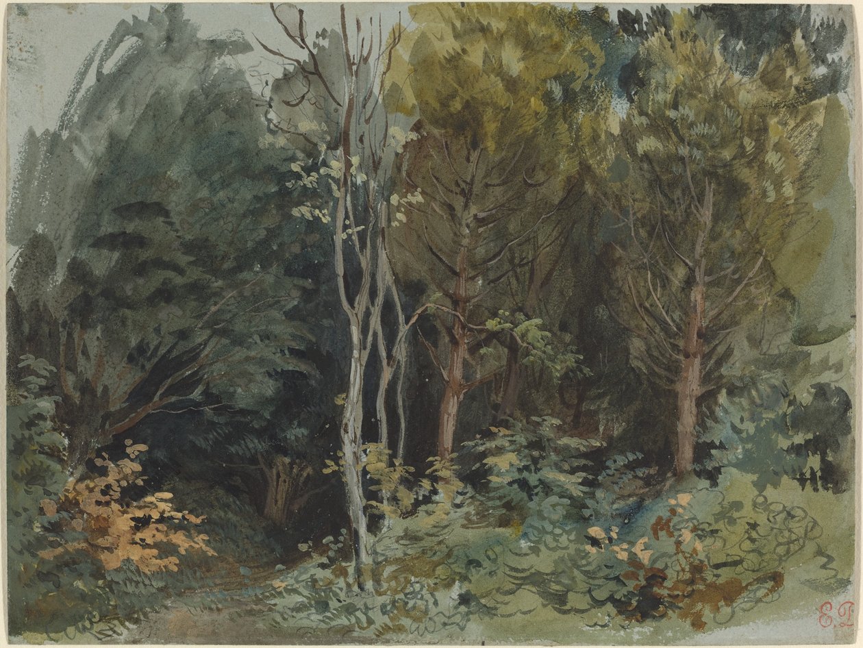 The Edge of a Wood at Nohant, ca. 1842-1843 (akvarell) av Ferdinand Victor Eugene Delacroix
