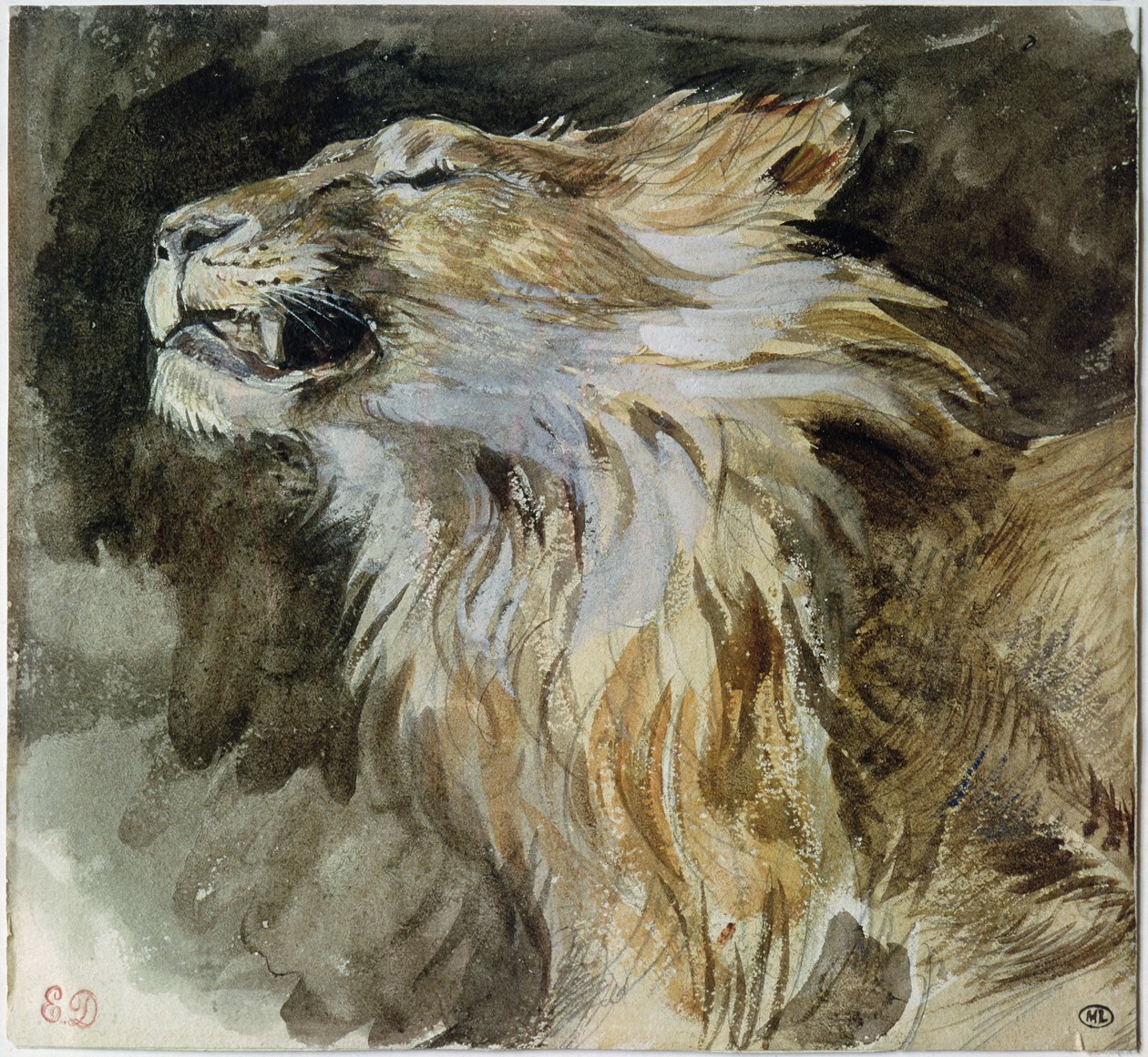 The Head of a Lion (akvarell på papper) av Ferdinand Victor Eugene Delacroix