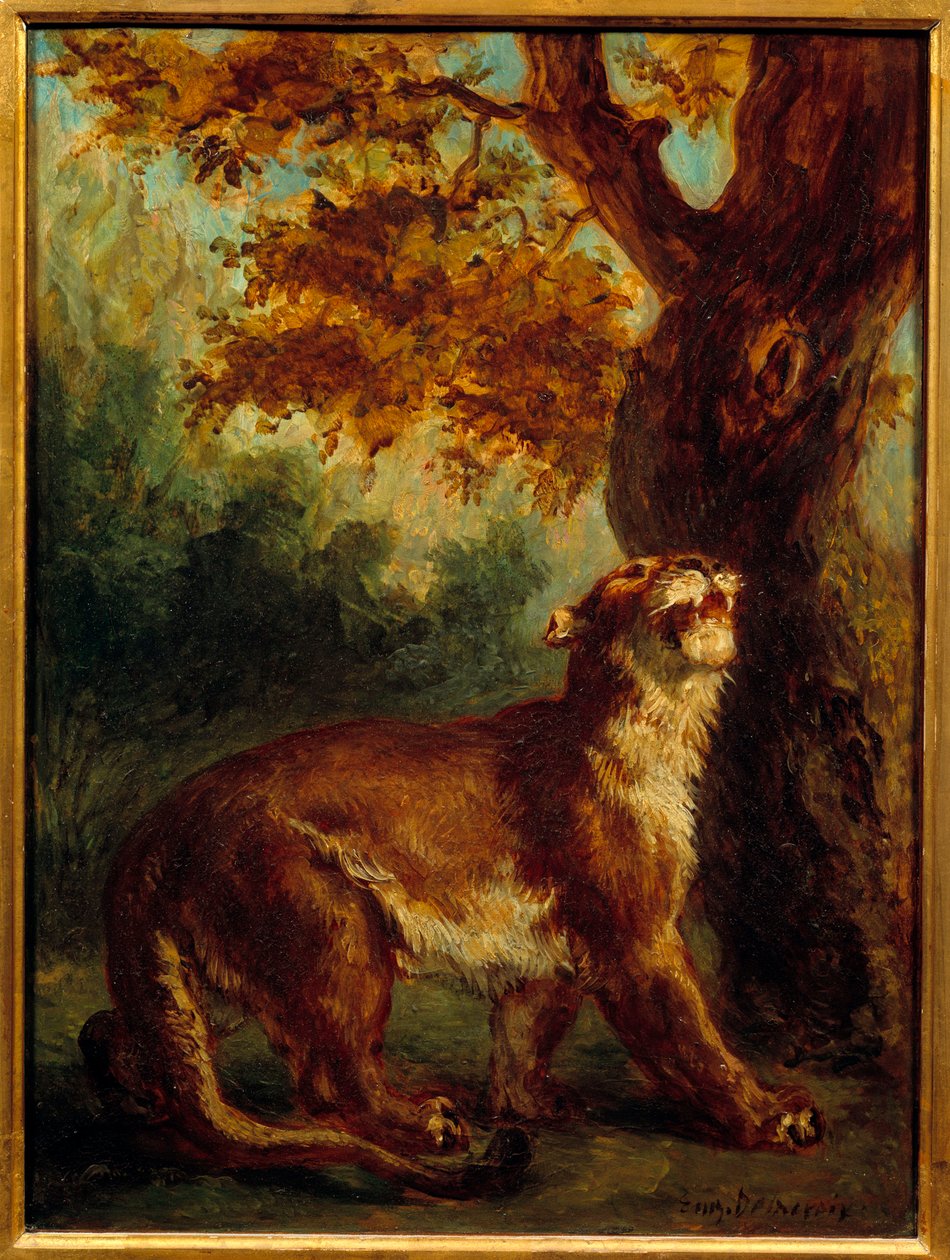 Puman säger också att lejoninnan håller utkik efter ett byte. Målning av Eugene Delacroix (1798-1863) av Ferdinand Victor Eugene Delacroix