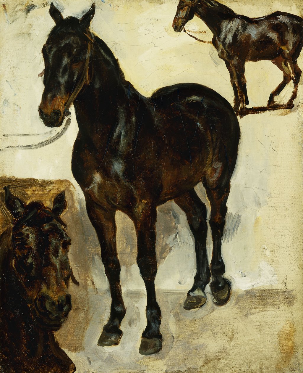 Tre studier av hästar; Tre studier av hästar, c.1823 av Ferdinand Victor Eugene Delacroix