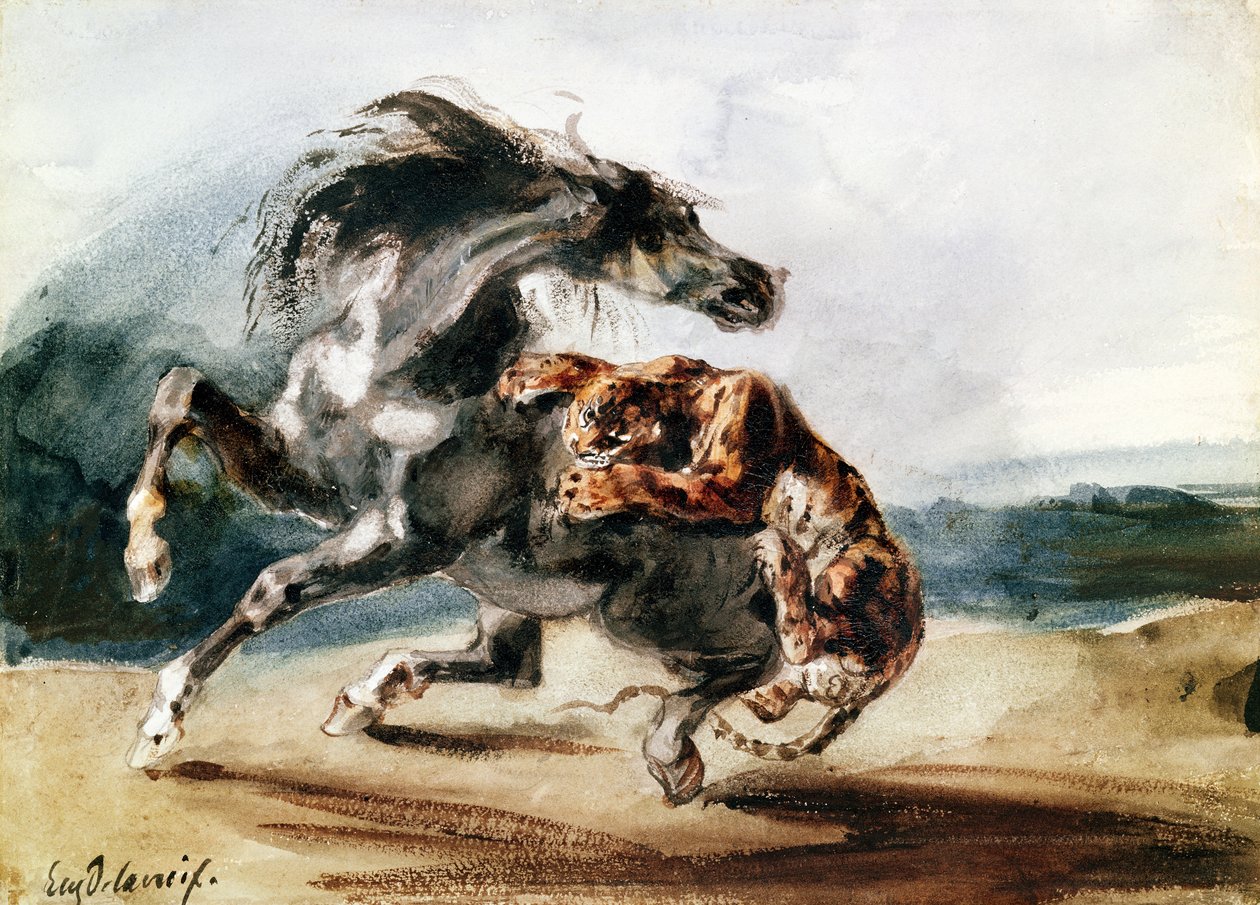 Tiger Attacking a Wild Horse (penna & bläck och akvarell på papper) av Ferdinand Victor Eugene Delacroix