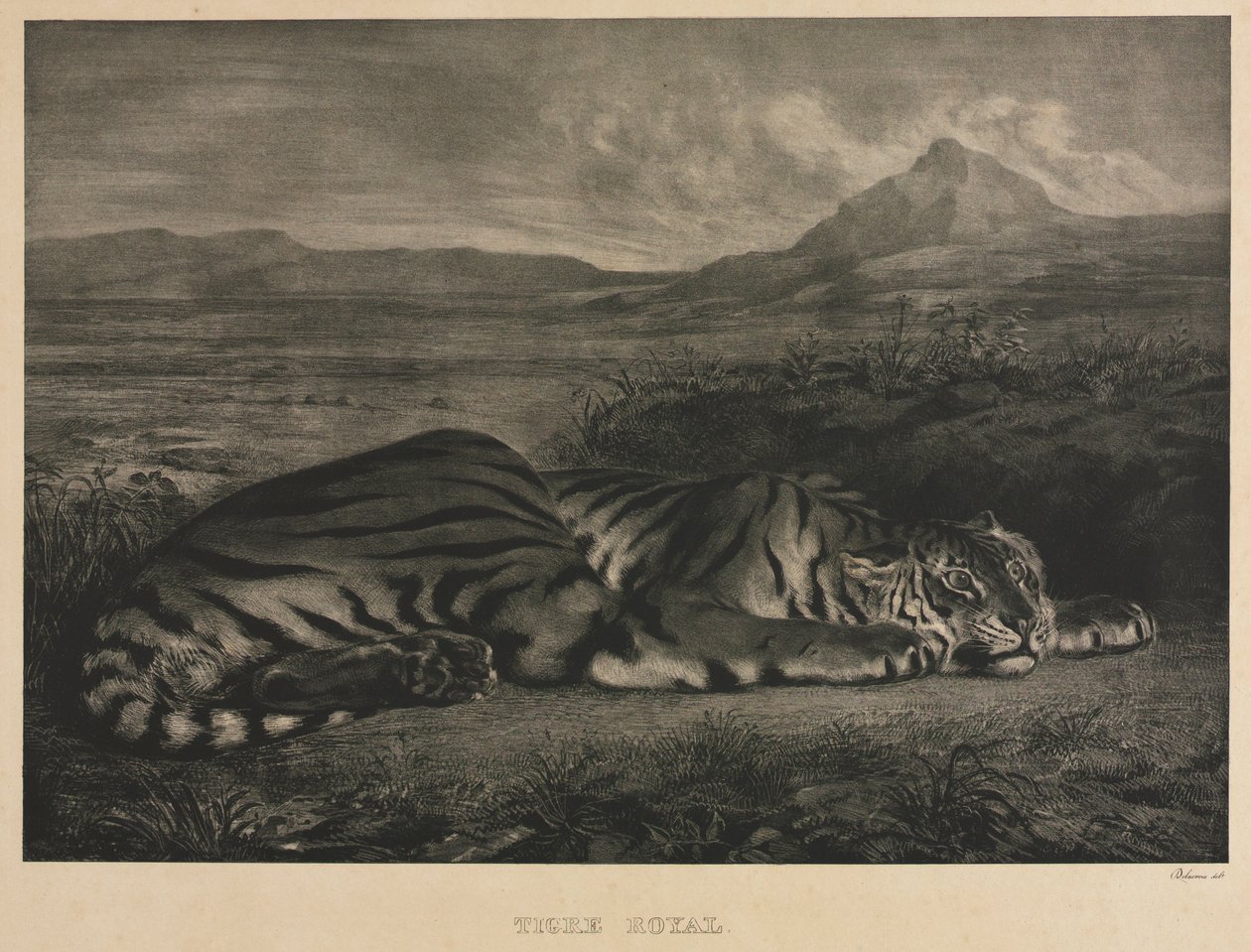 Royal Tiger, 1829. av Ferdinand Victor Eugene Delacroix