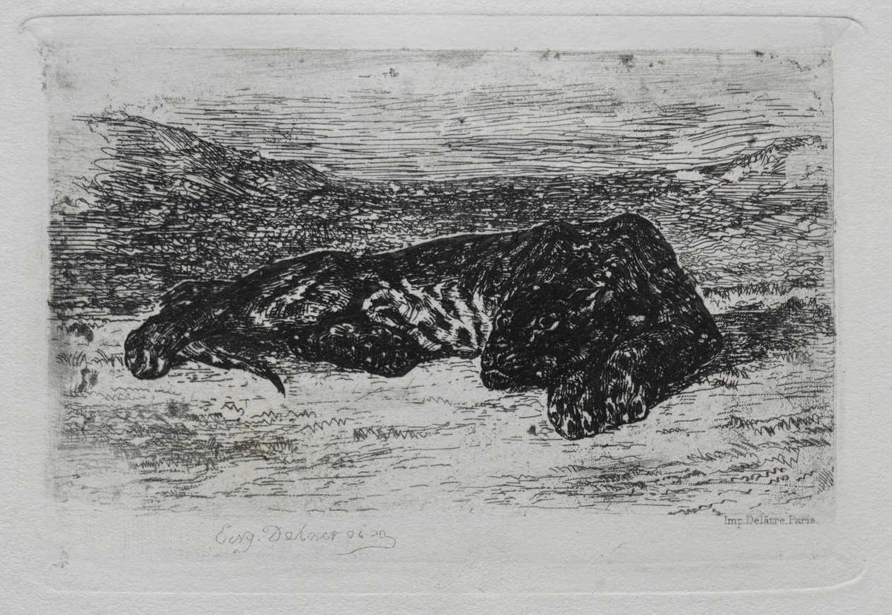 Tiger som ligger i öknen. av Ferdinand Victor Eugene Delacroix
