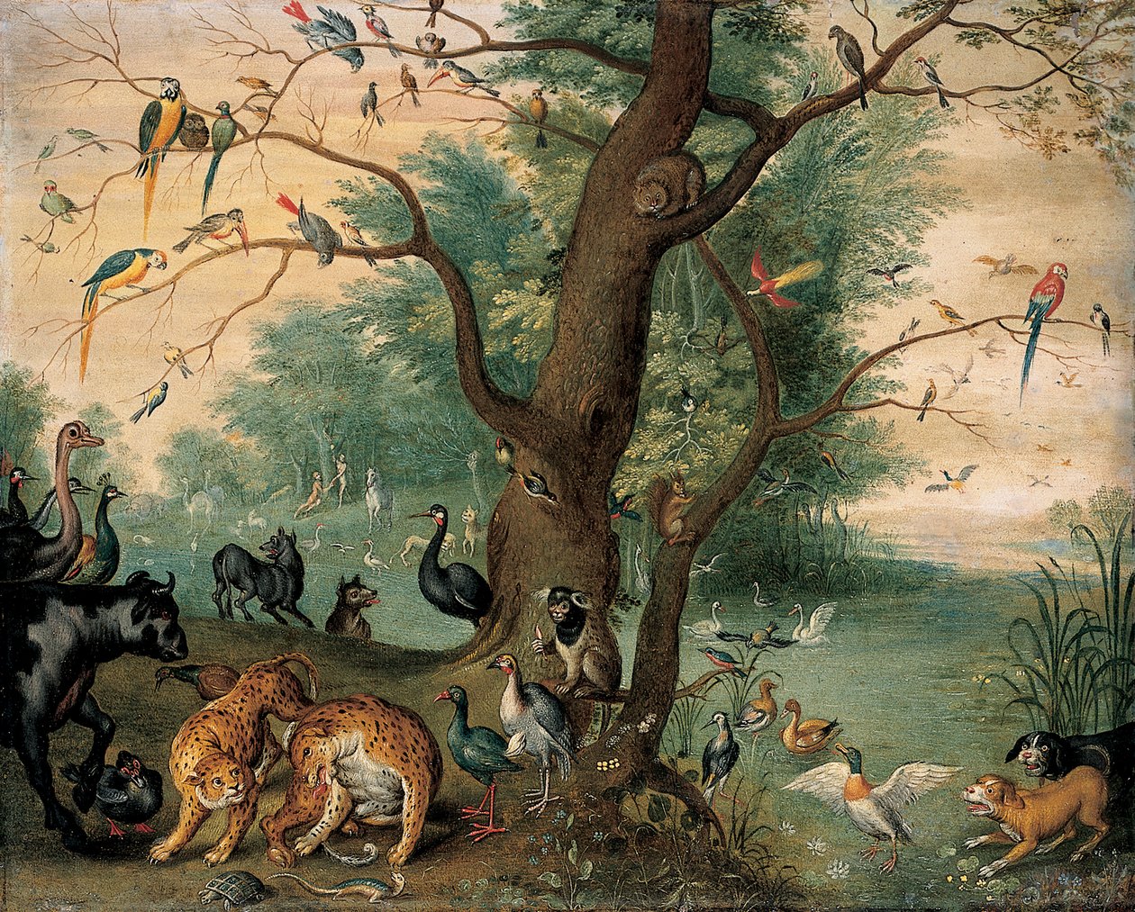 Djur och fåglar i Edens lustgård av Ferdinand van Kessel