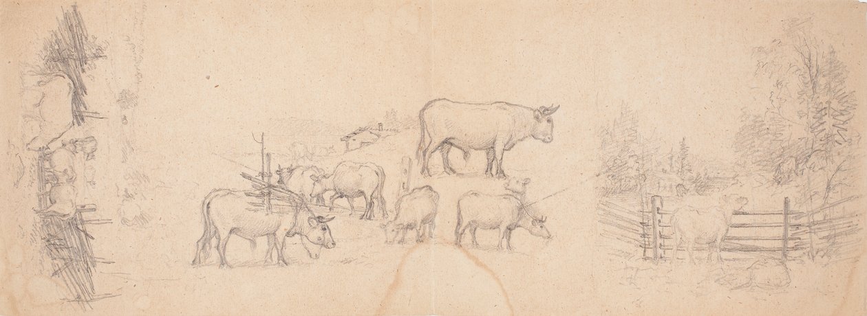Olika skisser av kor och tjurar av Ferdinand von Wright