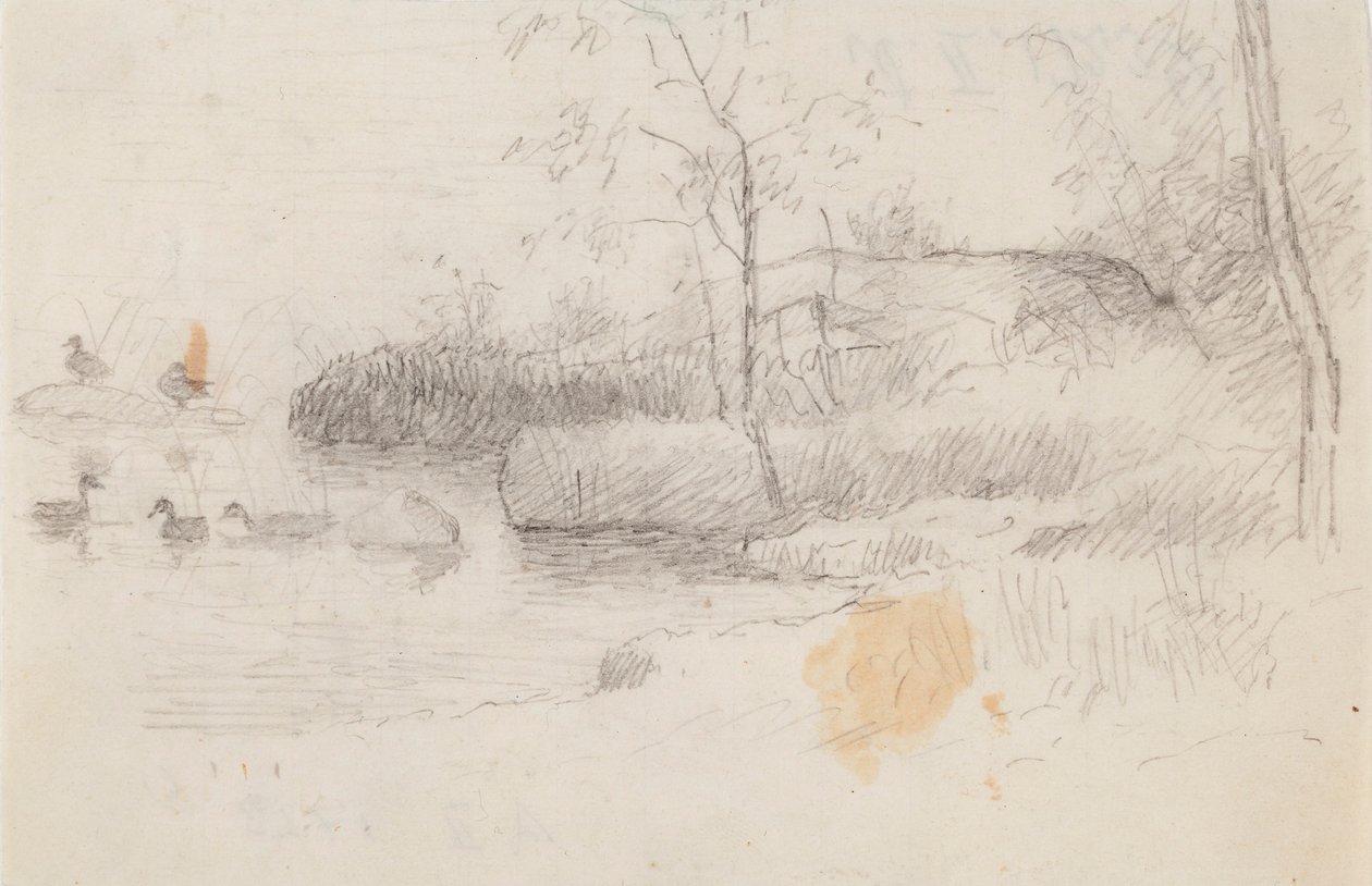 Landskap med ankor av Ferdinand von Wright