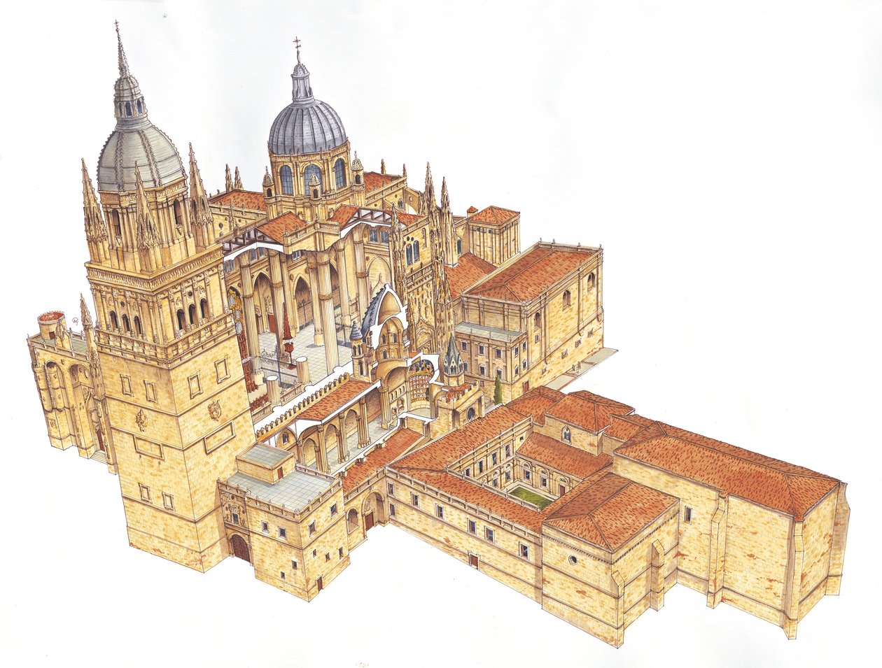 Salamanca katedral. Spanien av Fernando Aznar Cenamor