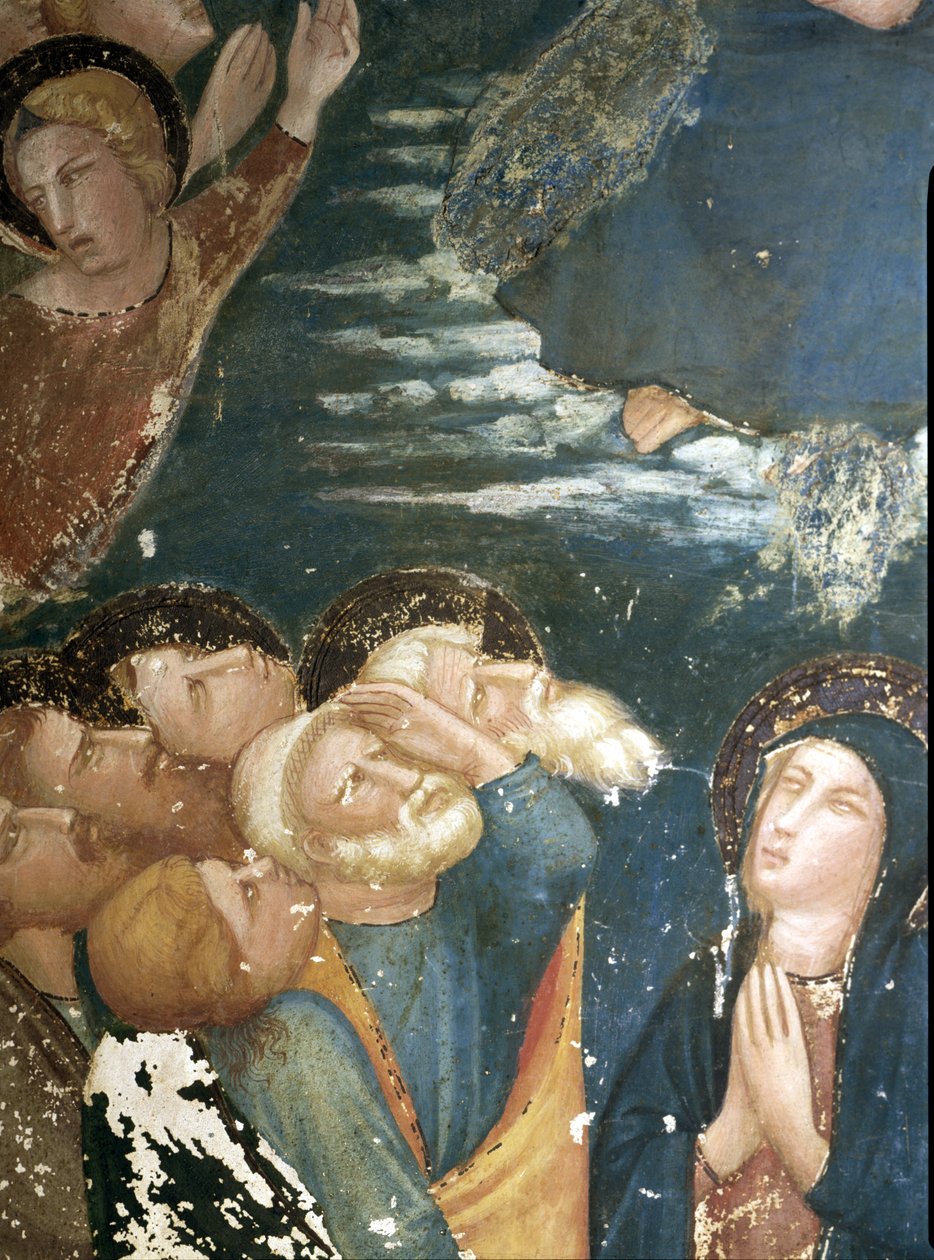  av Ferrer Bassa
