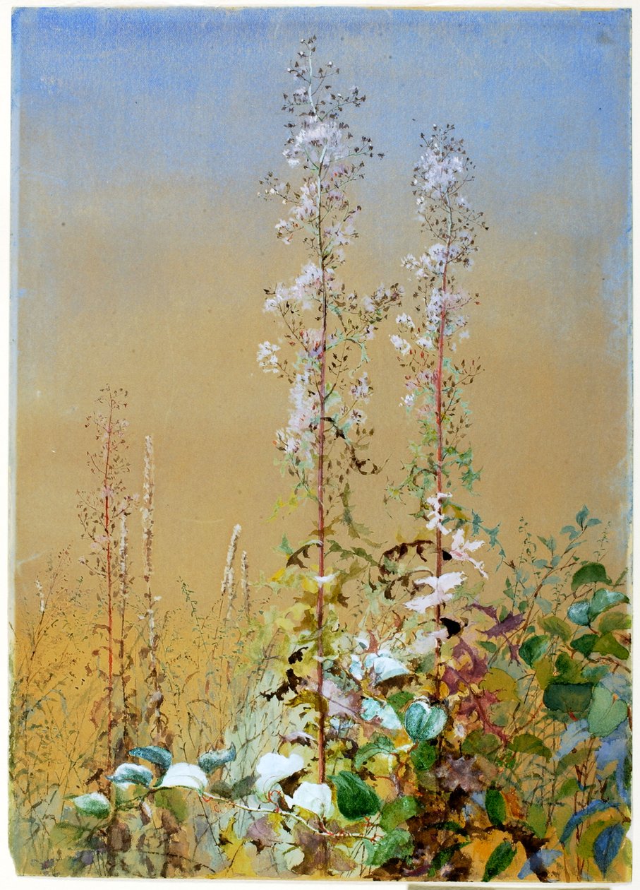 Utan titel, ca. 1876. av Fidelia Bridges